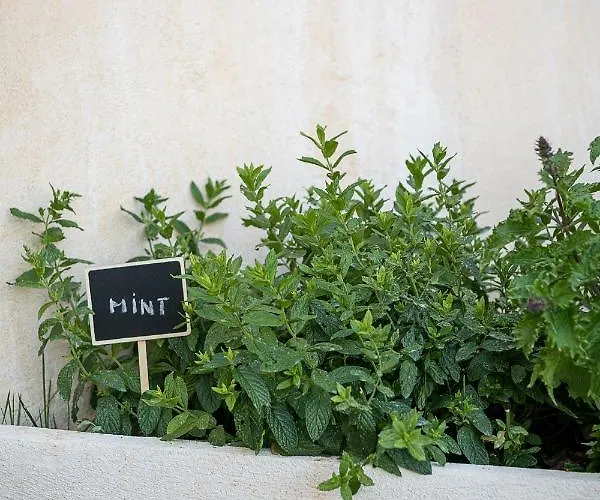 Mondethea Vantage Point * Hriszí Aktí Haniá