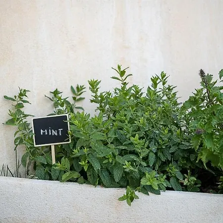 Mondethea Vantage Point * Chania (Crete)