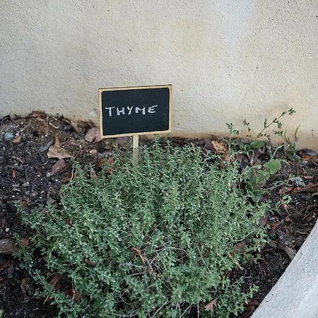 Mondethea Vantage Point 別荘