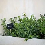 Mondethea Vantage Point * Chania (Crete)